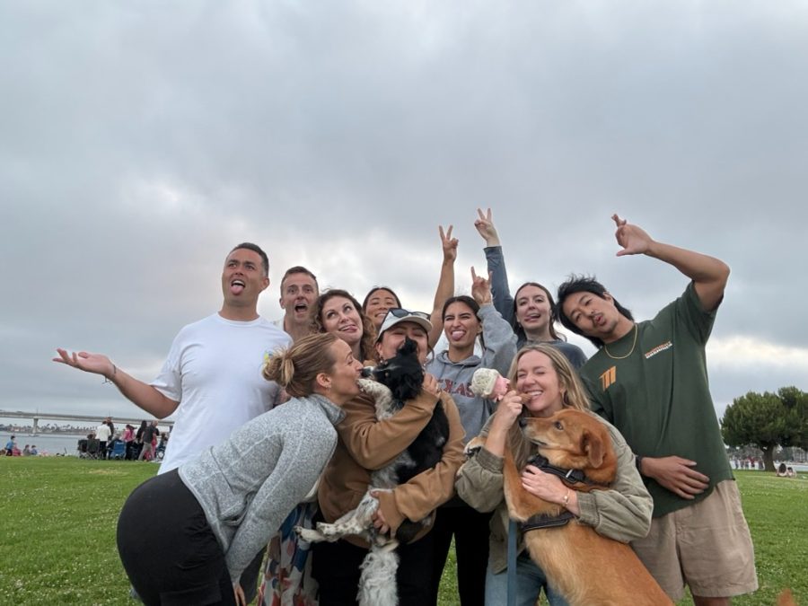 A group of friends and their dogs goofing around at the park